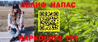 прущие грибы Пыть-Ях