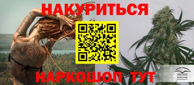 прущие грибы Пыть-Ях