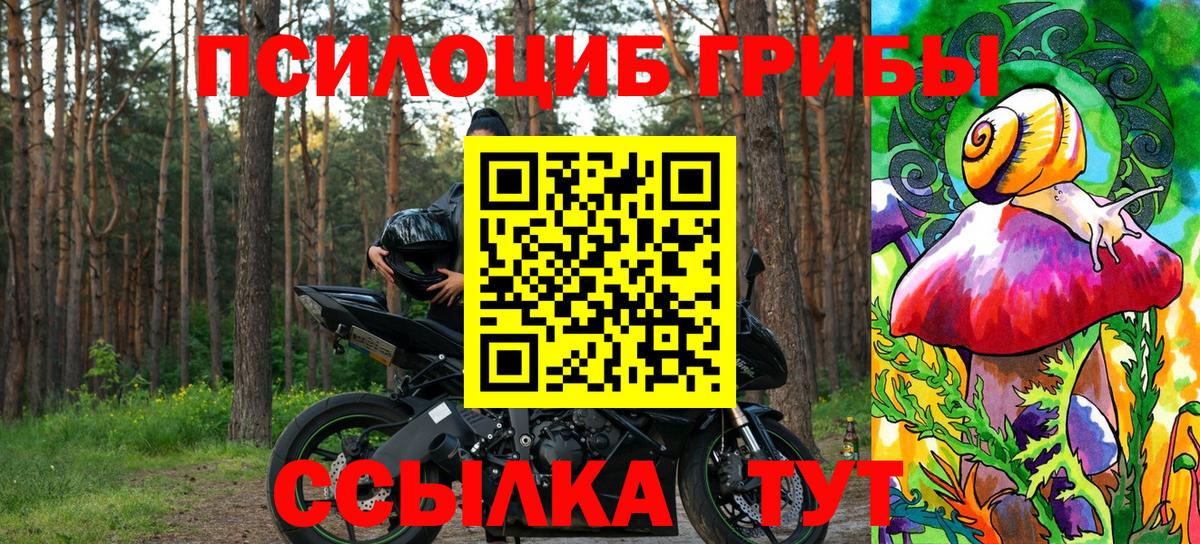 Псилоцибиновые грибы MAGIC MUSHROOMS  Галлюциногенные грибы мицелий  Вход с VPN  Сальск 