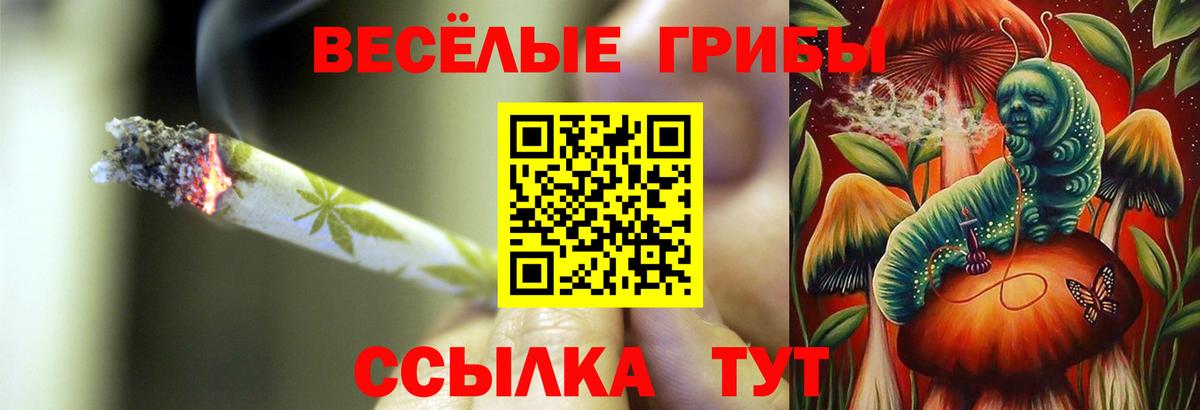 Галлюциногенные грибы GOLDEN TEACHER Сальск